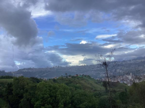 Bella vista 2